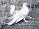 IMG_20140120_135757