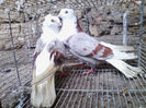 IMG_20140120_140456