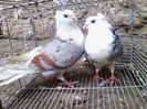 IMG_20140120_141846