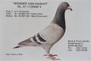 sanderjoep81