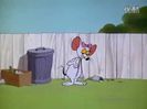 Tom si Jerry