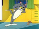 Tom si Jerry