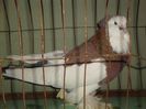 DSC01696