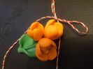 brose branduse 015