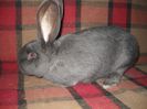 DSCN0270