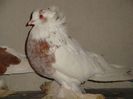 DSC01751