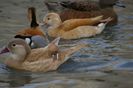 poze 2014 110