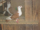 Picture 014