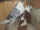 Picture 015