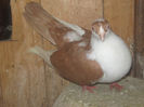 Picture 018