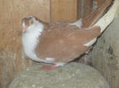 Picture 021