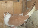 Picture 022