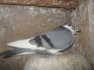 95016439_KMLNXLK
