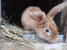 P29-08-13_11-01[4]