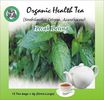 Strobilanthes Crispus
