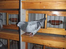 DSCF6362