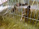 exxpo 2014 081