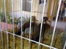 exxpo 2014 082