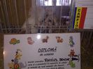 exxpo 2014 083