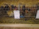 exxpo 2014 085