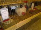 exxpo 2014 086