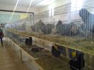 exxpo 2014 089