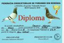 DIPLOMA ACHILE