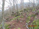 DSC00462