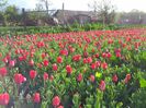 IMG_20120414_183557