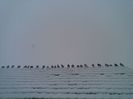 25012014(006)