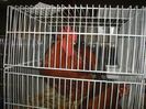 DSC00737