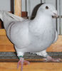 DSCF6576_1