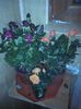 IMG_20140125_171048