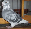 DSCF6714