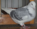DSCF6741