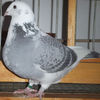 DSCF6742