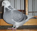 DSCF6744