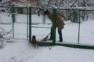 IMG_0640