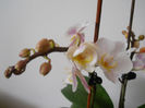 DSCN0324_032