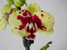 DSCN0325_033