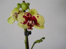 DSCN0326_034