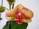 DSCN0330_038