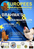 Expo europeana de Brahma