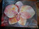 SAM_0599