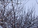 DSCN1257