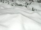 DSCN1261