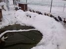 IMG-20140126-00289