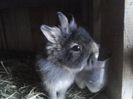 P21-01-14_11-20[1]