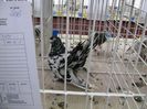 IMG_0031