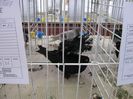 IMG_0032
